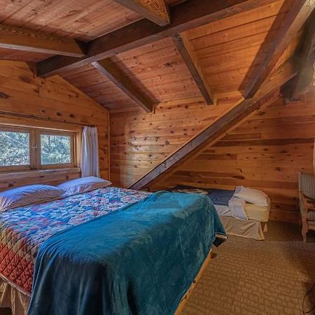 Forest Cabin 3 Bear'S Den 패이슨 외부 사진