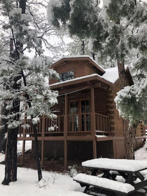Forest Cabin 3 Bear'S Den 패이슨 외부 사진
