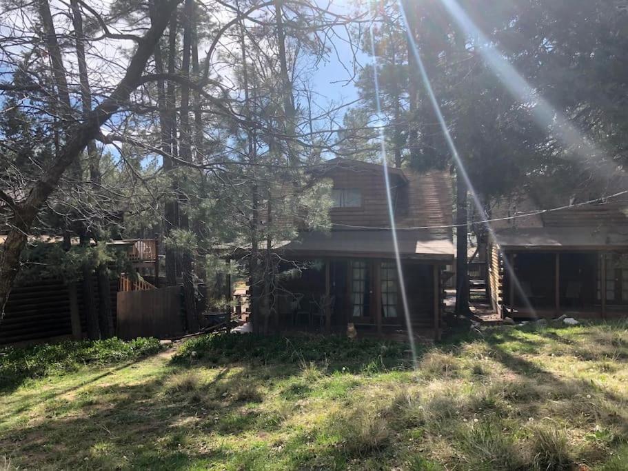Forest Cabin 3 Bear'S Den 패이슨 외부 사진